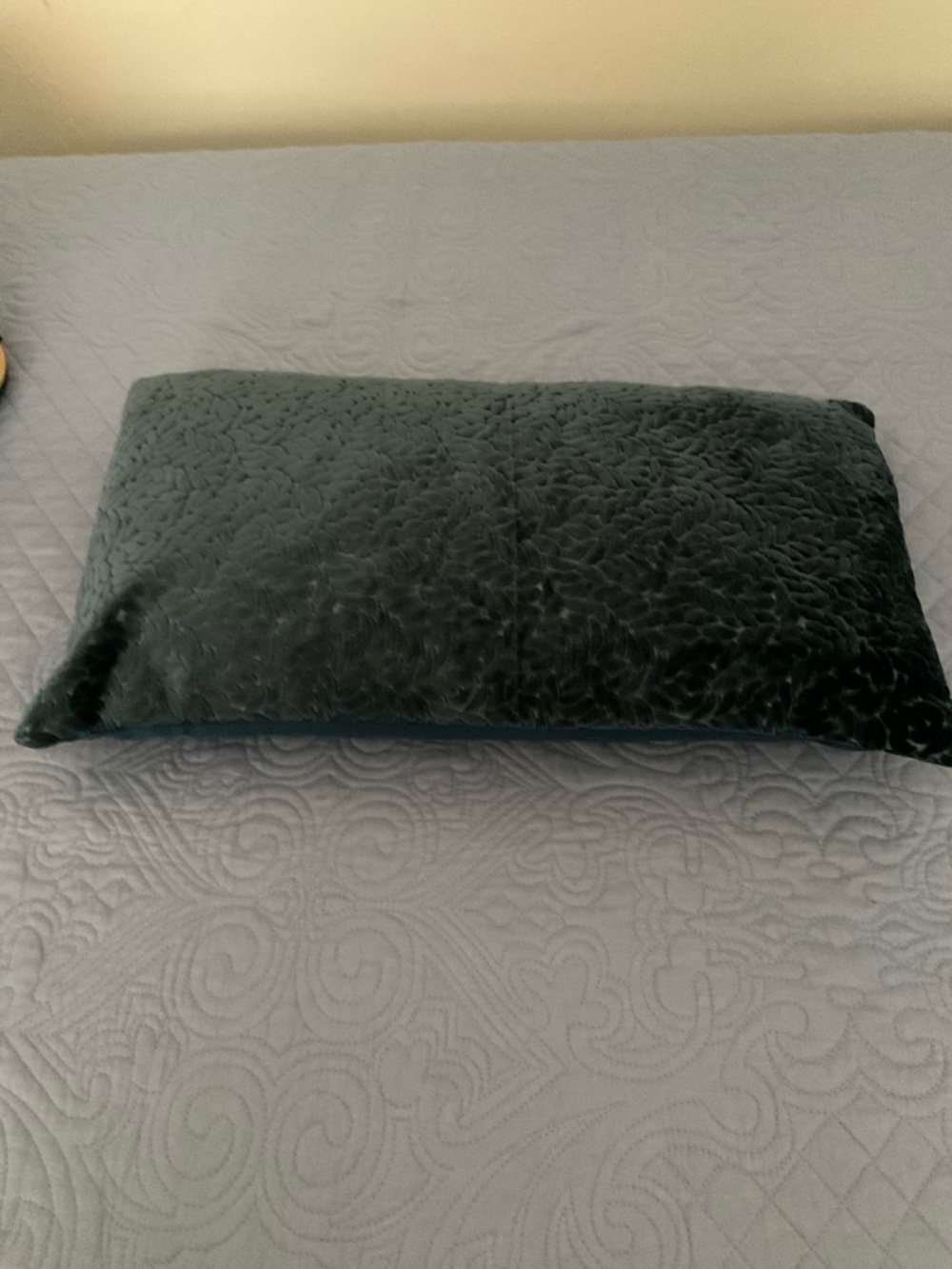 Plush Velvet Decorative Pillow - Dark navy blue